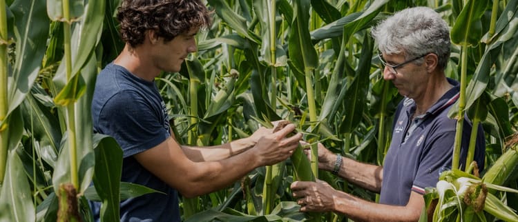 นวัตกรรมจากเกษตรกรเพื่อเกษตรกร