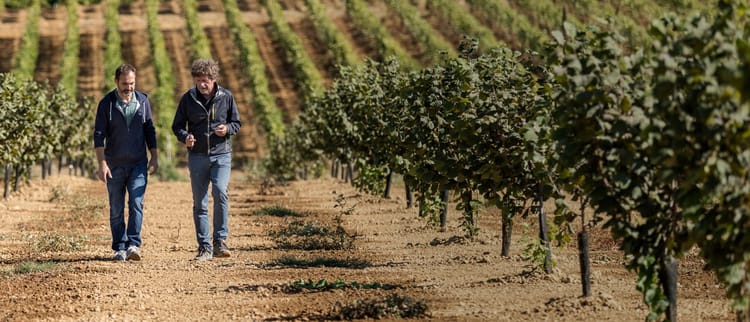 ความรู้เกี่ยวกับพืช