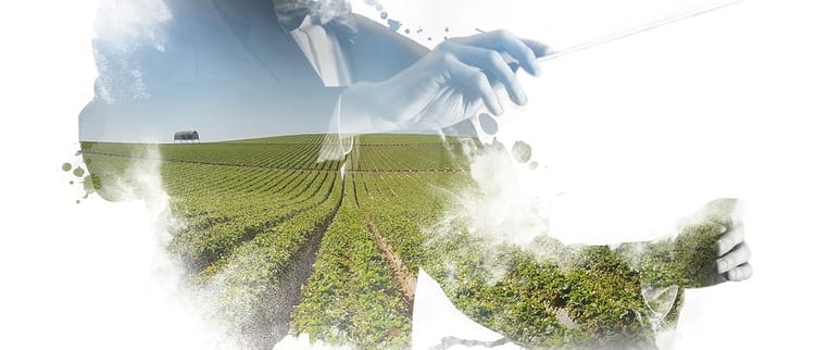 สร้างความเติบโตให้ธุรกิจเกษตรในทุกพื้นที่