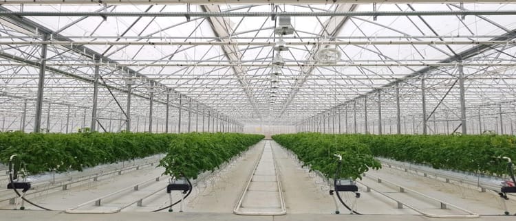 Greenhouse_Solution