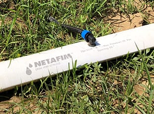 ท่อที่ยืดหยุ่น